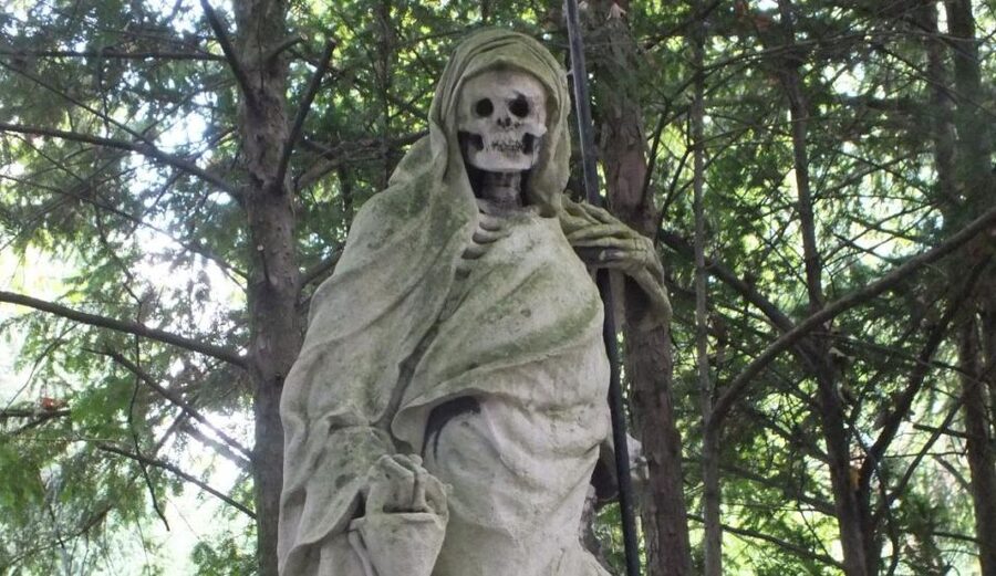 Cologne: Melaten Cemetery Life, Love and Death Tour - Walking among 55,000 graves