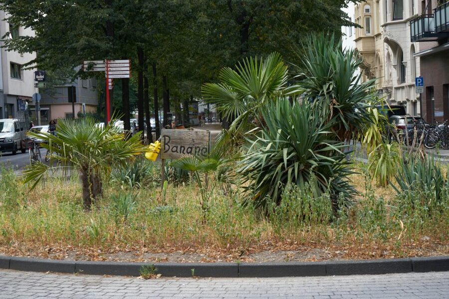 Cologne: Südstadt Guided Foodie Walking Tour - Comfort, Pace, and Practical Planning