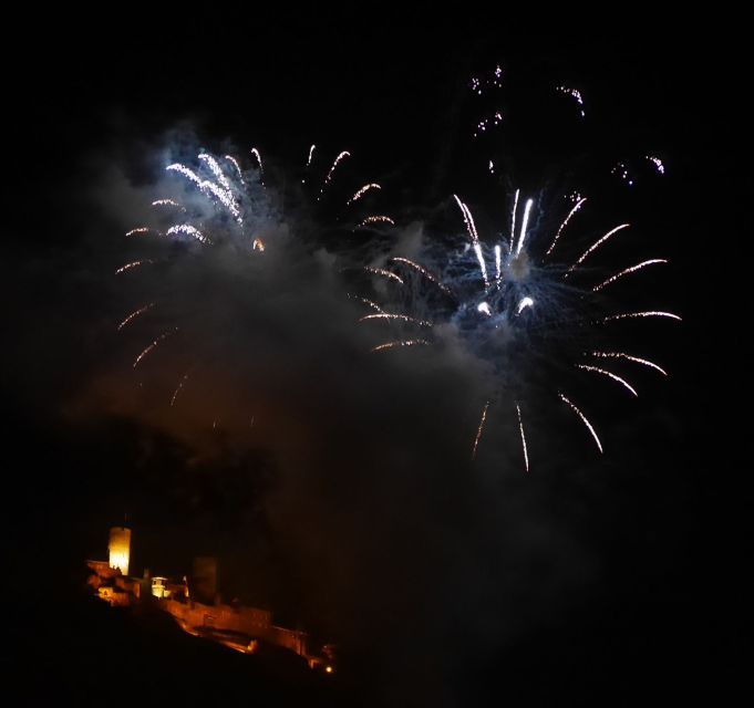 Cruise to the fireworks of Winninger vinefestival - Choosing your departure at 7 pm