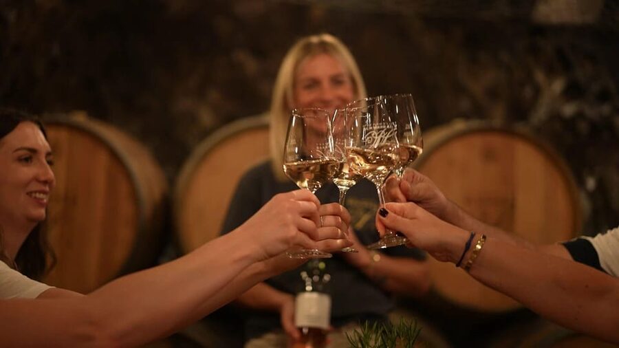 Discovery tour - cellar tour with wine tasting - Stainless steel, barrels, and the business of aging wine