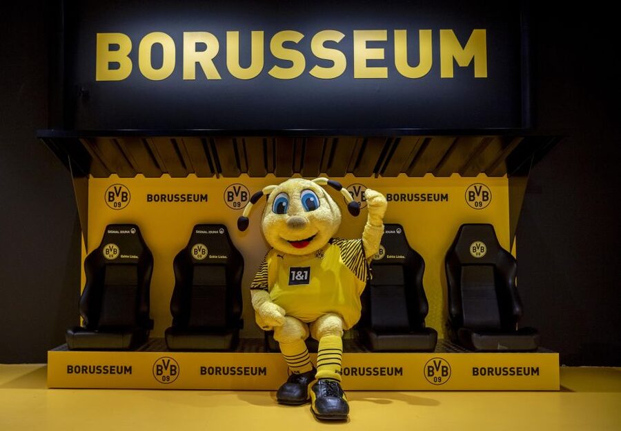 Dortmund: Borusseum Borussia Dortmund Museum Entry Ticket - The small south stand brings in the songs