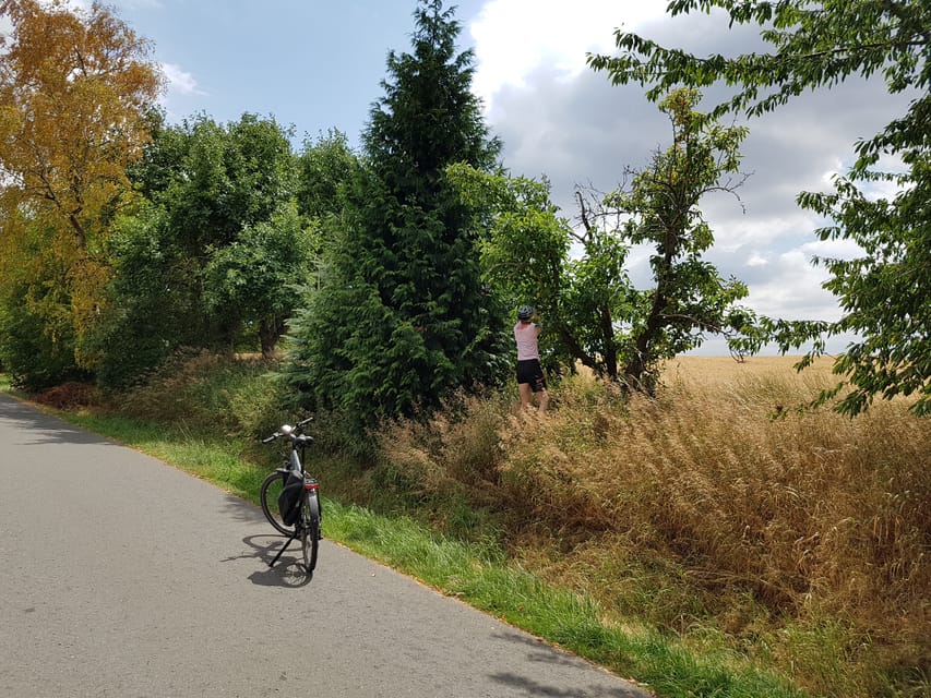Dresden: E-Bike Tour and Dresden Heath Forest Trails - The Dresden TV tower marks the high point
