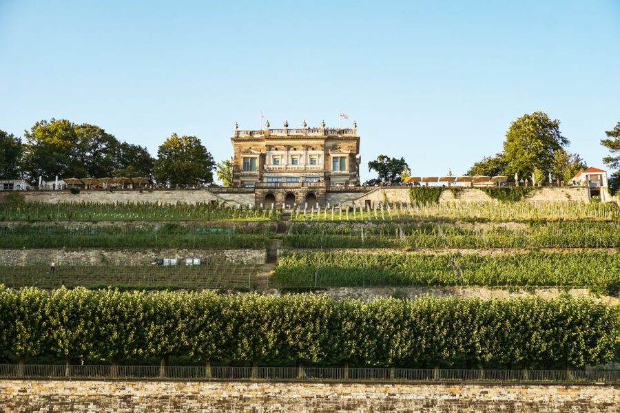 Dresden: Elbe River Cruise to Pillnitz Castle - Who will enjoy this cruise most?