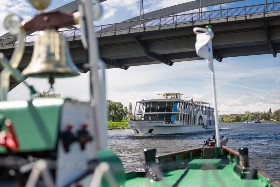 Dresden: River Sightseeing Boat Cruise - Choosing Between the Paddle Steamer and Modern Boat