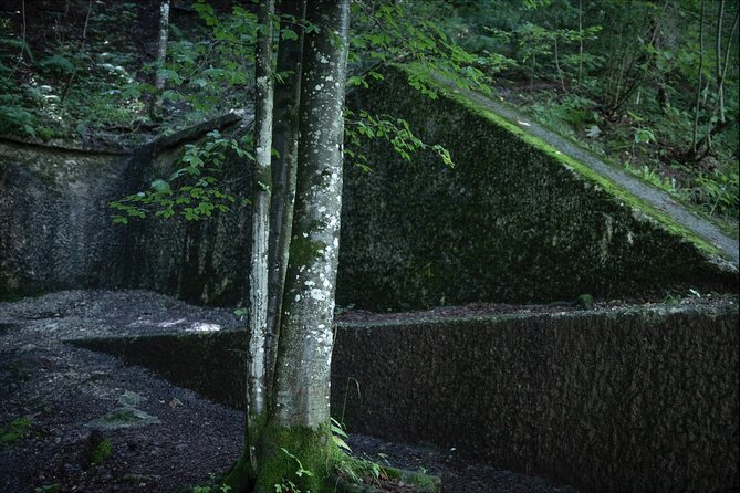 Eagle's Nest-Berchtesgaden-Obersalzberg Private Half Day WWII Historical Tour - The guides and their approach to WWII history