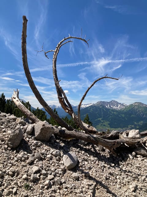 Ehrwald: Hiking Tour into breath taking Nature - Booking details worth knowing