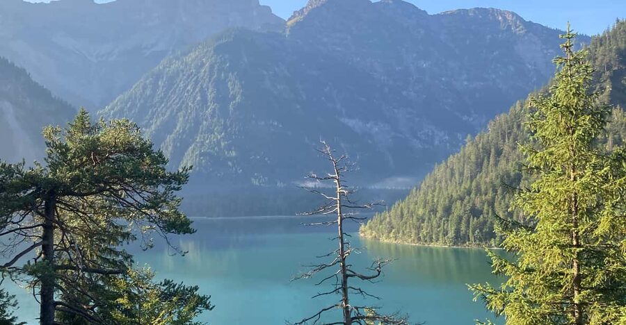 Ehrwald: Hiking Tour into breath taking Nature - Why a two-hour walk works well in Ehrwald