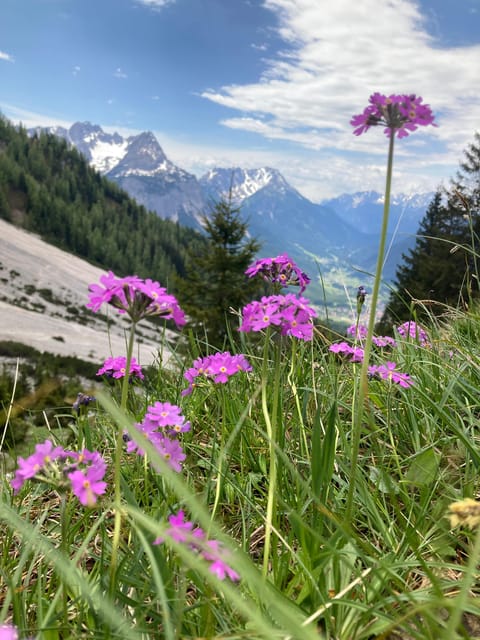 Ehrwald: Hiking Tour into breath taking Nature - Who will enjoy this Ehrwald hike most?