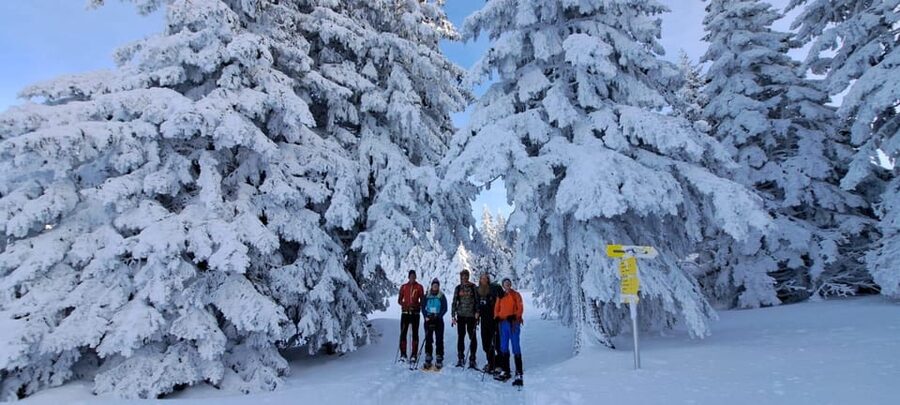 Ehrwald: Zugspitze Snowshoe Hiking Tour with Mountain Views - Key points at a glance