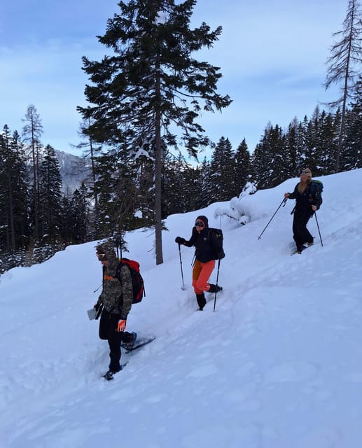 Ehrwald: Zugspitze Snowshoe Hiking Tour with Mountain Views - What to bring to Ebne 5