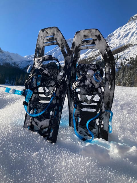 Ehrwald: Zugspitze Snowshoe Hiking Tour with Mountain Views - Learning the basics before the first climb