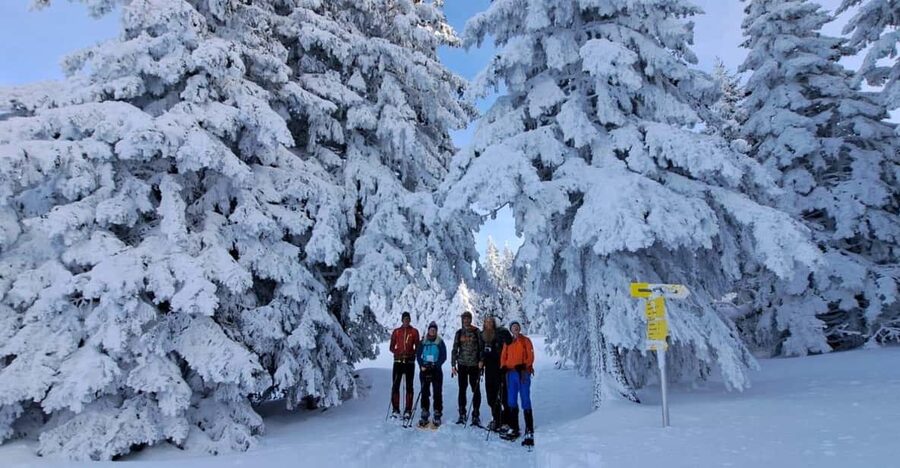 Ehrwald: Zugspitze Snowshoe Hiking Tour with Mountain Views - Snow conditions and the crampon backup