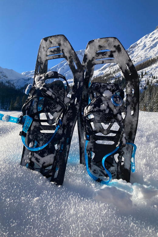 Ehrwald: Zugspitze Snowshoe Hiking Tour with Mountain Views - What the $80 price includes