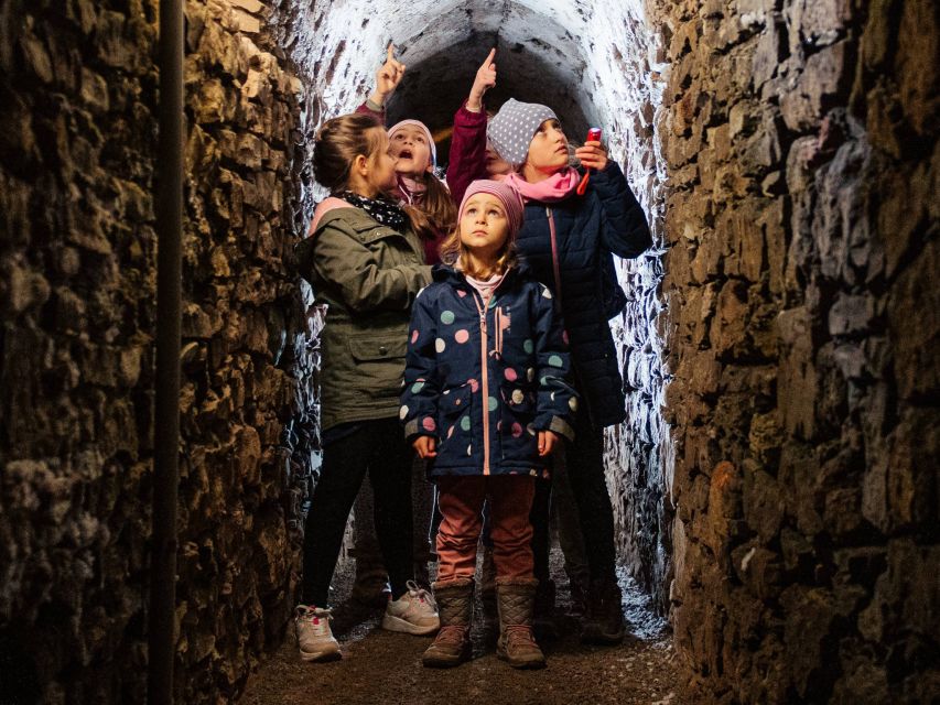 Erfurt: Guided Tour of The Petersberg Citadel - Should you book the Petersberg Citadel tour?