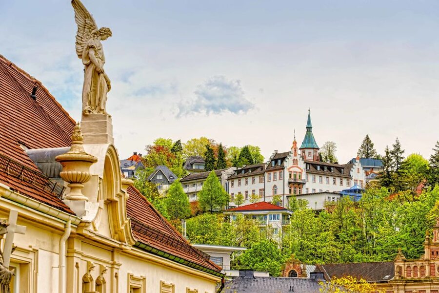 Frankfurt: Baden-Baden, Black Forest, Strasbourg Guided Tour - Practical details that shape the day