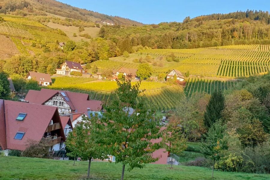 Frankfurt: Baden-Baden, Black Forest, Strasbourg Guided Tour - Should you book the Baden-Baden and Strasbourg day trip?