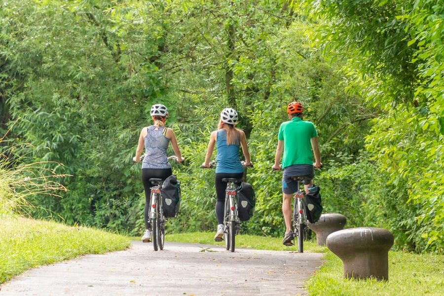 Frankfurt: Full-Day Bicycle or E-Bike Rental - The value of $22 for a day