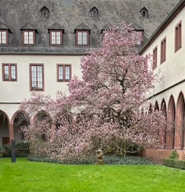 Frankfurt on Foot Daily Walking Tour in English - Crossing the Main on Eiserner Steg