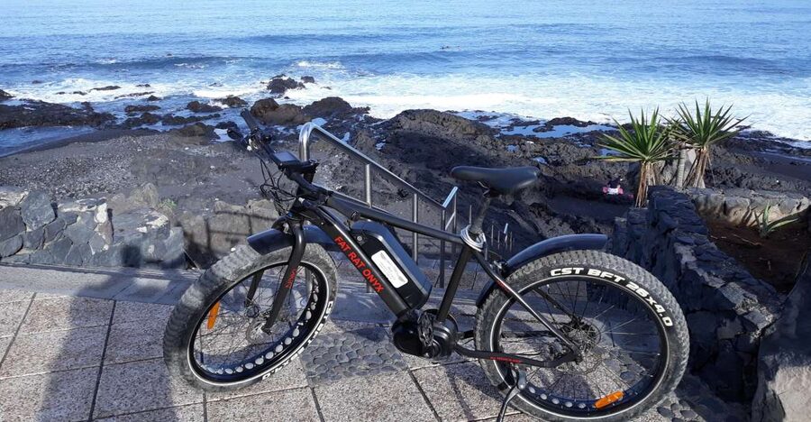Frankfurt: Unique E-Bikes Tours - Choosing the right Frankfurt e-bike tour