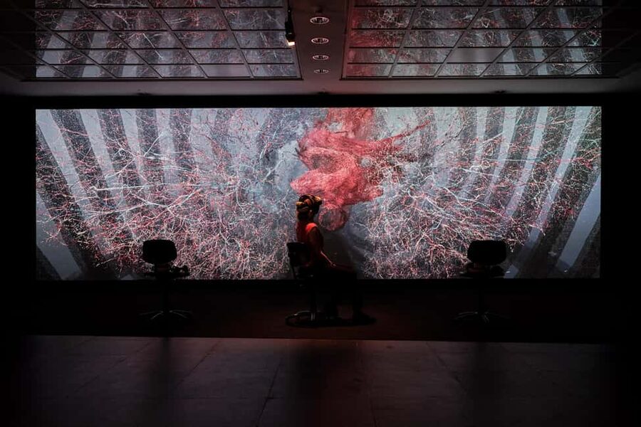 Frankfurter Kunstverein: Admission ticket - Why the art and science connection matters