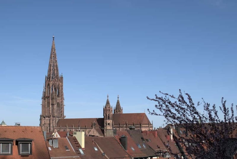 Freiburg City Tour: with visit of the Freiburg Minster - Münsterplatz and the first view of the Minster