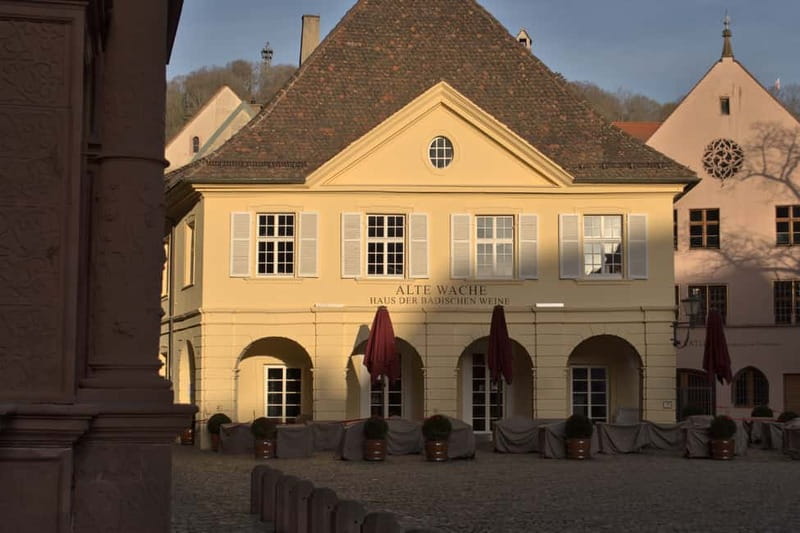 Freiburg City Tour: with visit of the Freiburg Minster - Altes Kaufhaus and Freiburg’s trading past