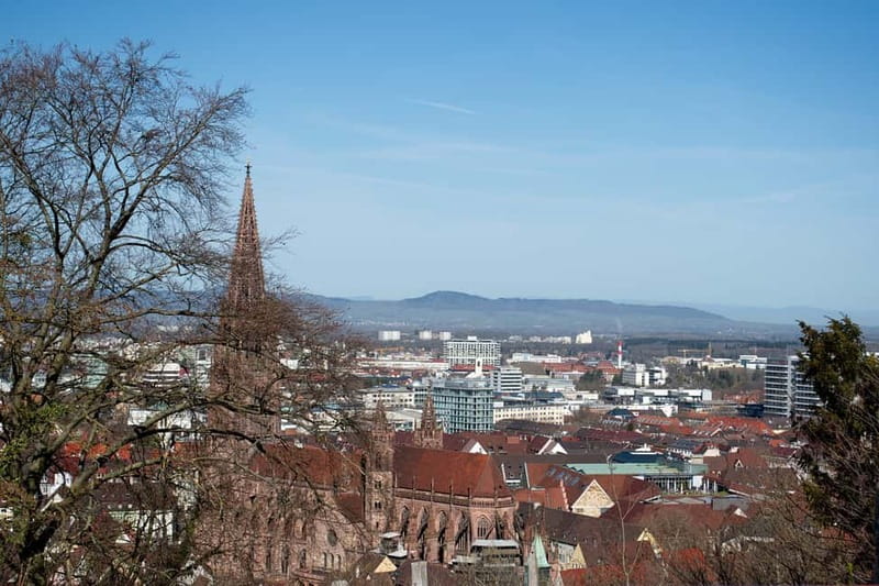 Freiburg City Tour: with visit of the Freiburg Minster - Haus zum Walfisch and Freiburg’s city story