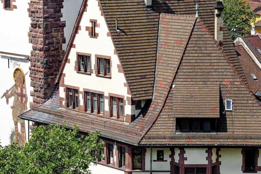 Freiburg: Express Walk with a Local in 60 minutes - How the $93 price makes sense