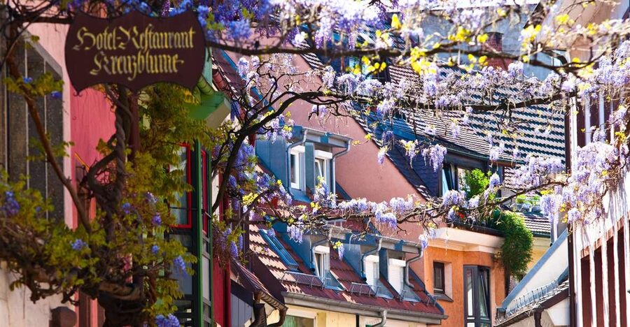 Freiburg: Gässle, Bächle and More City Tour - Why Freiburg’s Bächle make this walk different