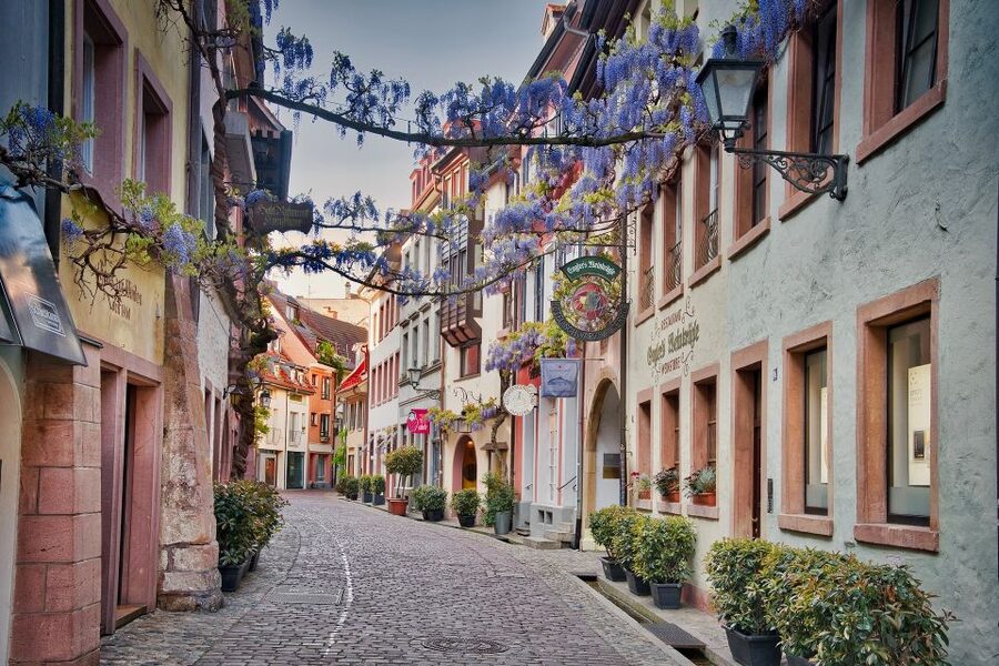 Freiburg: Gässle, Bächle and More City Tour - Münsterplatz, gargoyles, and the market
