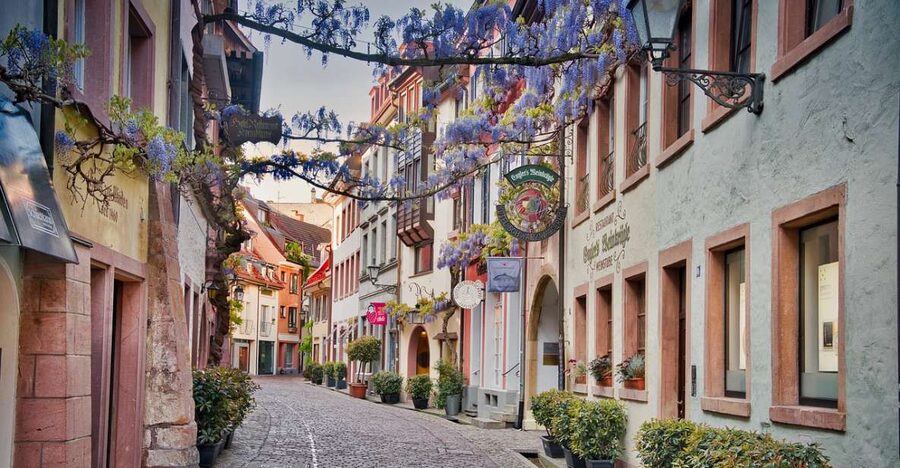 Freiburg im Breisgau: old town privat walking tour Italian - Haus zum Walfisch and the Erasmus connection