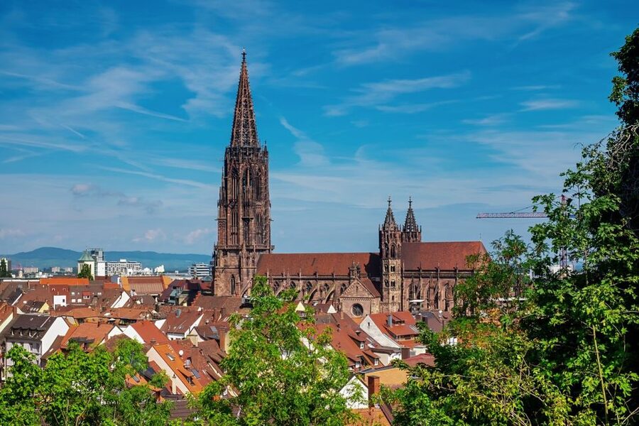 Freiburg im Breisgau: old town privat walking tour Italian - Ending at Augustinerplatz