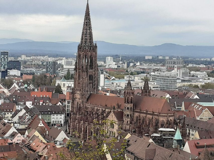 Freiburg: Walking and Strolling the Historic Center - Freiburg Minster and its strange stone creatures