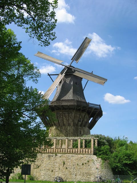 From Berlin: Gardens & Palaces of Potsdam Bike Tour - Why Potsdam works so well by bicycle