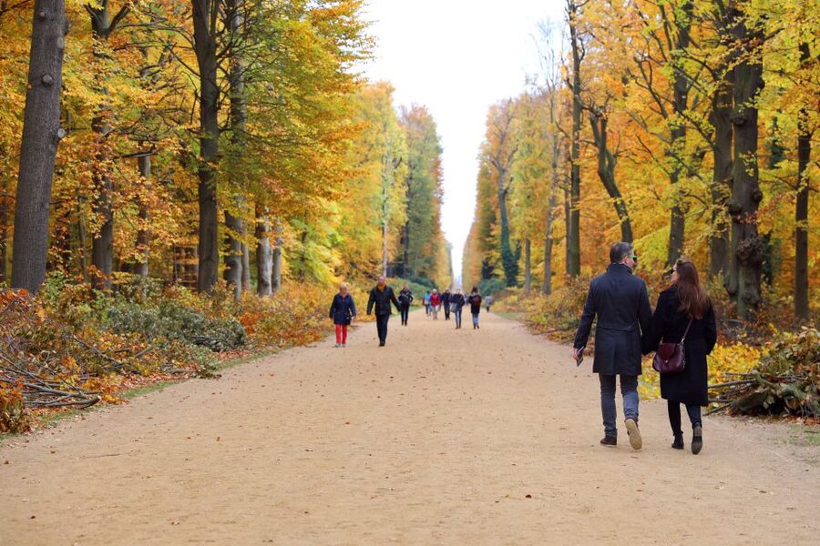 From Berlin: Historical Gems of Potsdam Private Day Trip - What $245 per person gets you