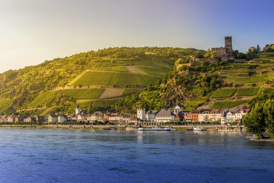 From Frankfurt: Rhine Valley Day Trip - Is $175 a fair price?
