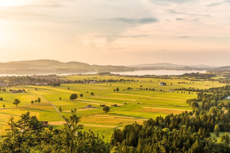 From Munich: Neuschwanstein Castle Full-Day Trip by Van - Who should book this Bavaria tour