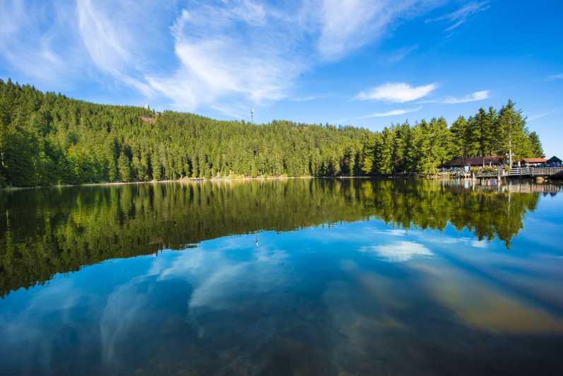 From Strasbourg: Black Forest and Baden Baden Day Trip - Key points to know before booking