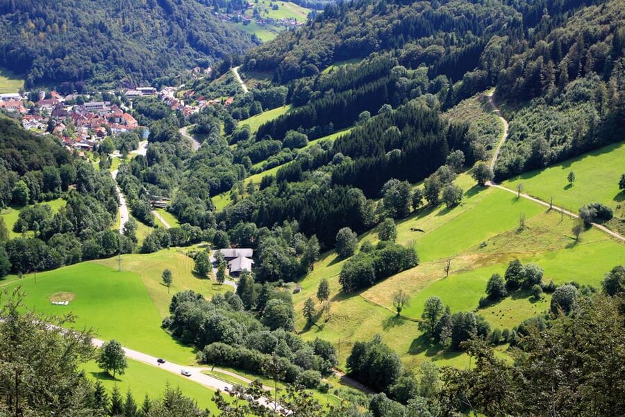 From Strasbourg: Black Forest and Baden Baden Day Trip - Should you book it?