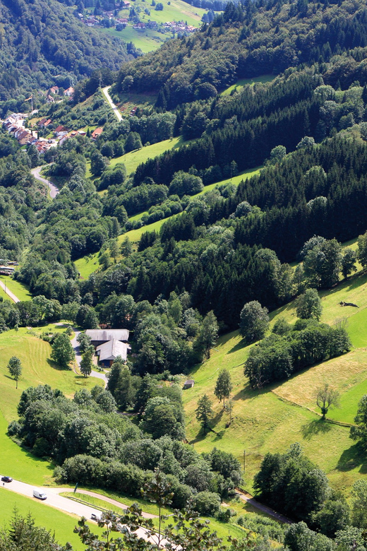 From Strasbourg: Black Forest and Baden Baden Day Trip - The Schwarzwaldhochstrasse and Rhine Valley views