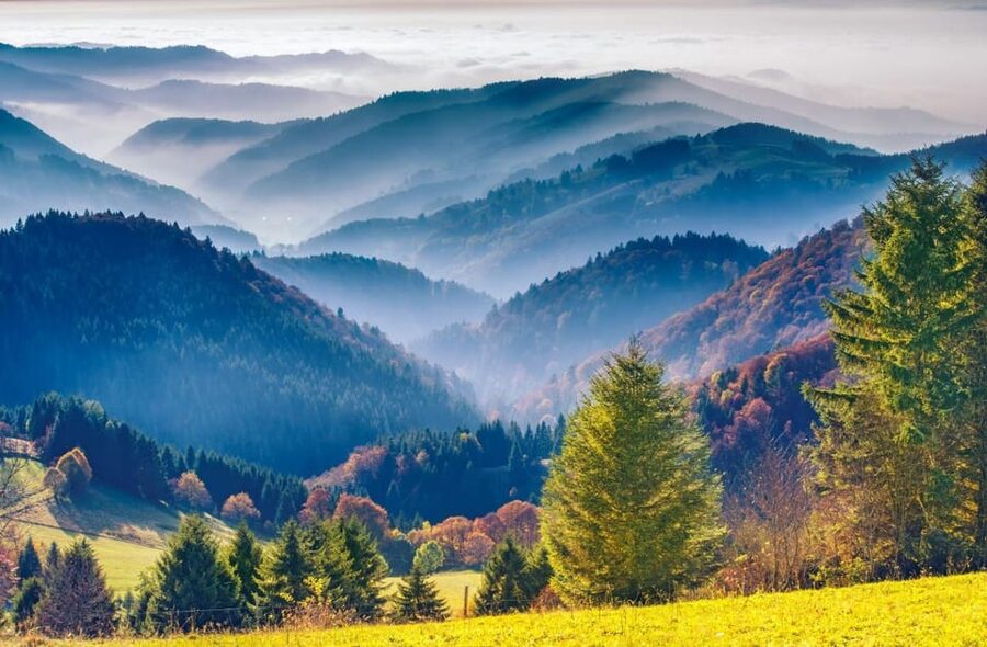 From Strasbourg: Black Forest and Baden Baden Day Trip - Who will enjoy this day trip most?