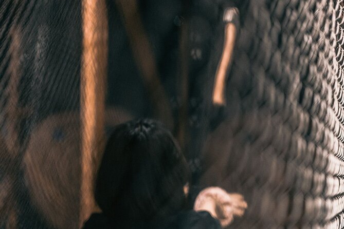 Guided Axe Throwing Experience in Frankfurt Altstadt - Price, timing, and what you actually receive