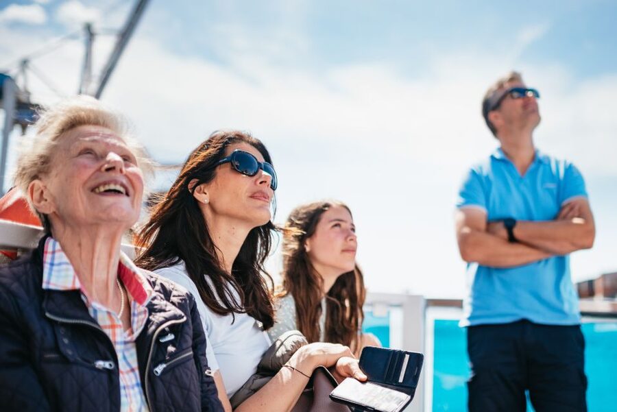Hamburg: 1.5-Hour Harbor and Speicherstadt Day Cruise - Key points to know before you book