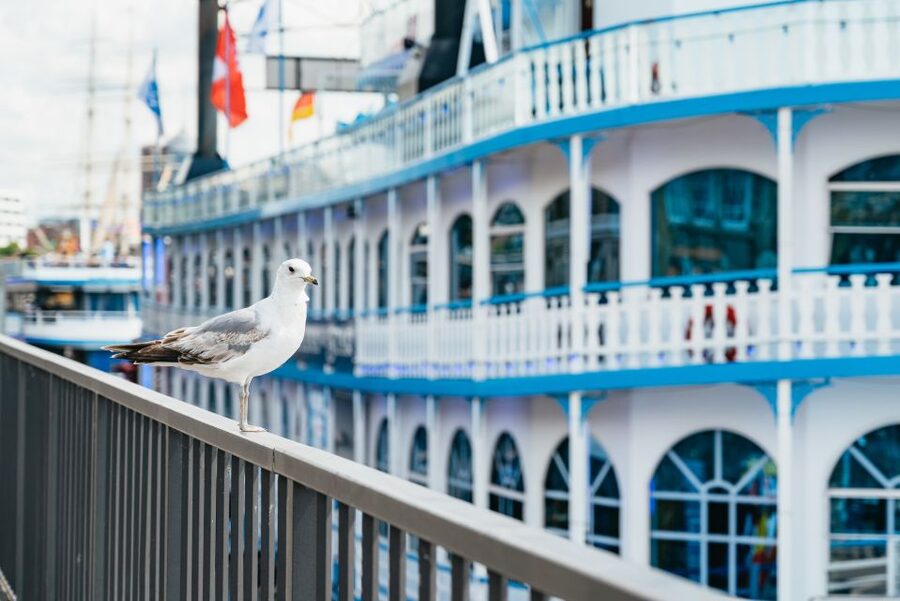 Hamburg: 1-Hour Harbor Sightseeing Cruise with HafenCity - Key points to know before boarding