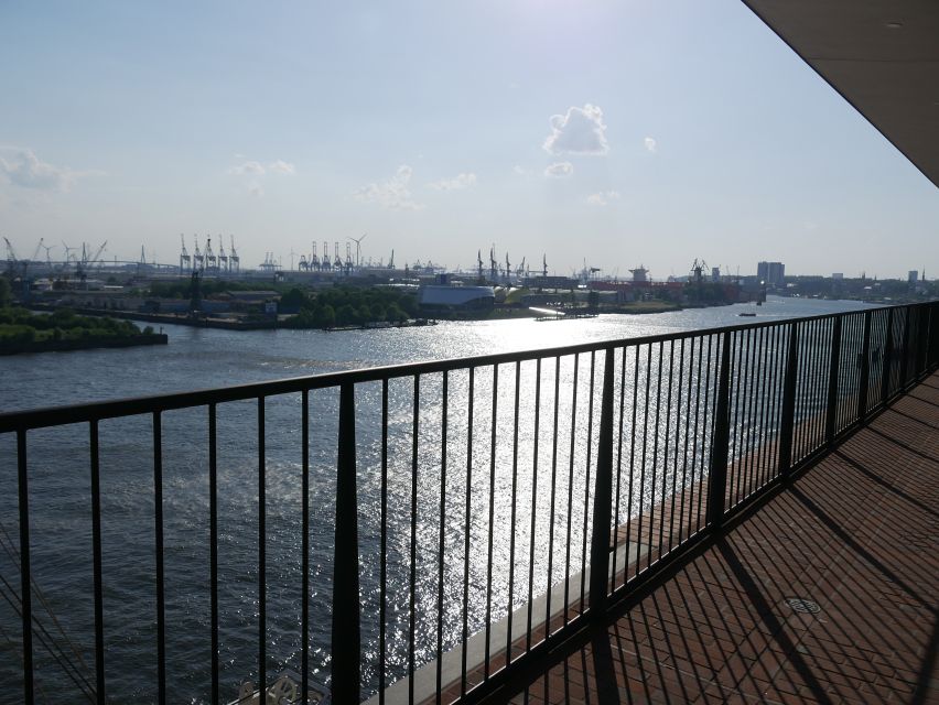Hamburg: Elbphilharmonie Plaza Guided Tour - Guide quality and language