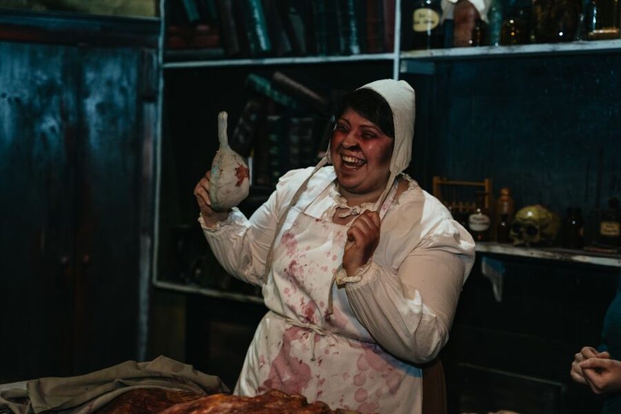 Hamburg: Hamburg Dungeon Admission Ticket - Who should book Hamburg Dungeon?