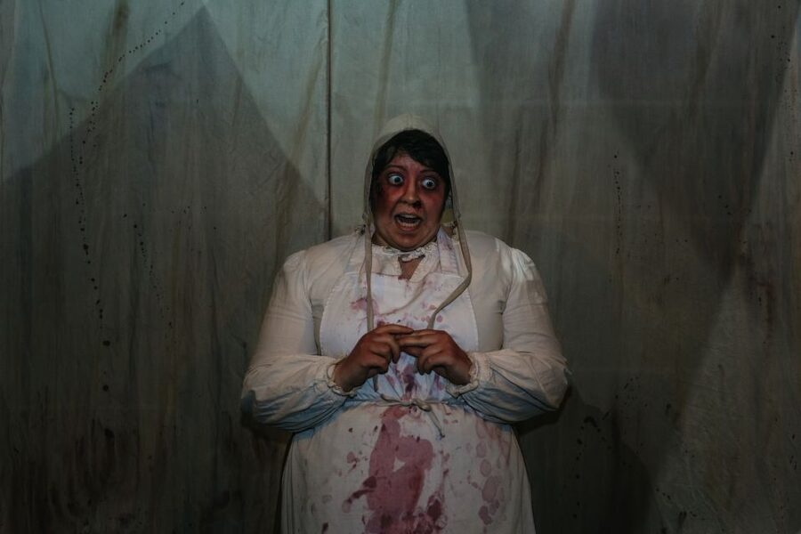 Hamburg: Hamburg Dungeon Admission Ticket - Ghosts, lighting, and the final freefall