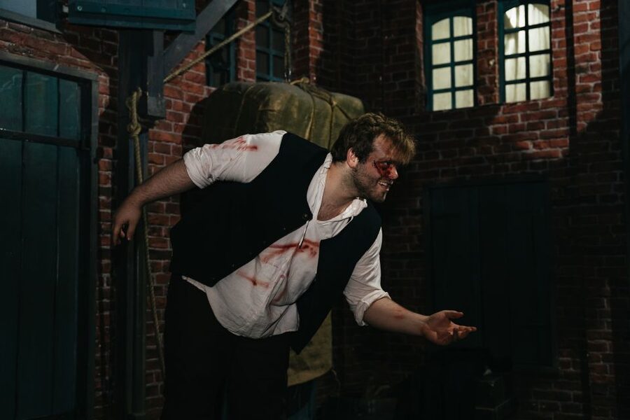 Hamburg: Hamburg Dungeon Admission Ticket - Is $33 a fair price for one hour?