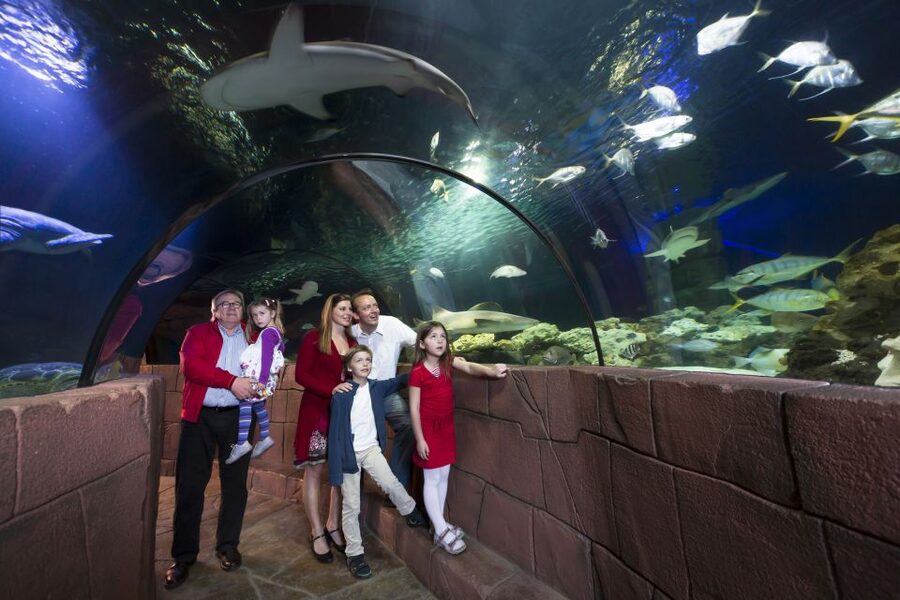 Hanover: SEA LIFE Entry Ticket - When crowds affect the visit