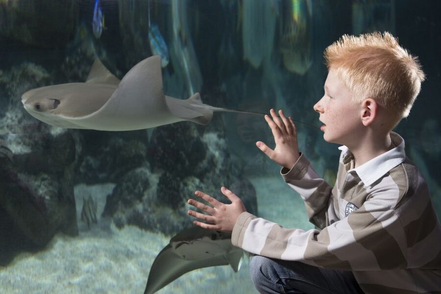 Hanover: SEA LIFE Entry Ticket - Getting to Herrenhäuser Str. 4a